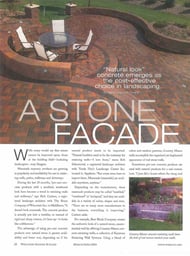 stone_facade_cover