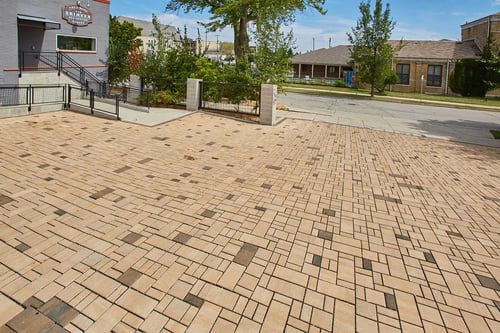 sid_grinker_2019_021