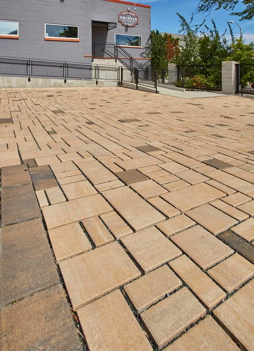 sid_grinker_2019_022