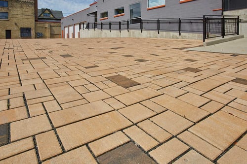 sid_grinker_2019_026