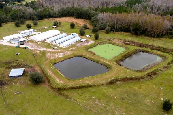 Bay Lake Farm