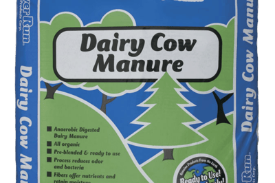 Dairy Cow Manure