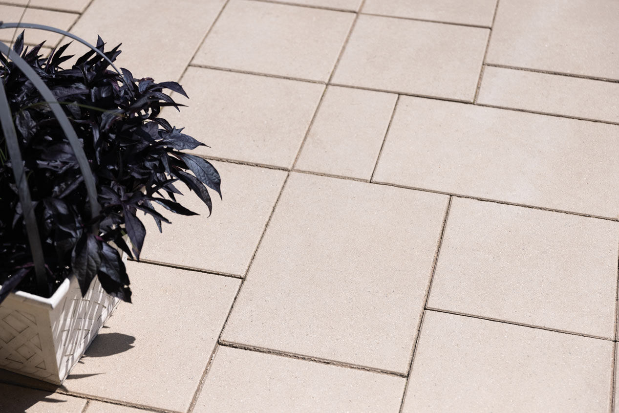 2024_CMC_Landscape_Gallery_Arcadian_1