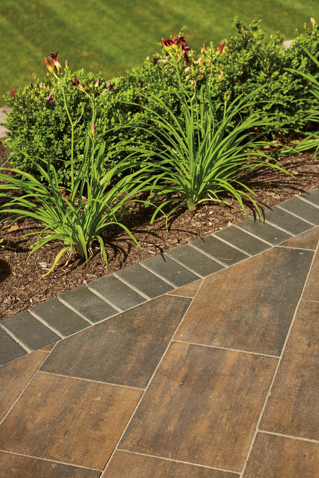 rain_dance_trail_res_2018_052