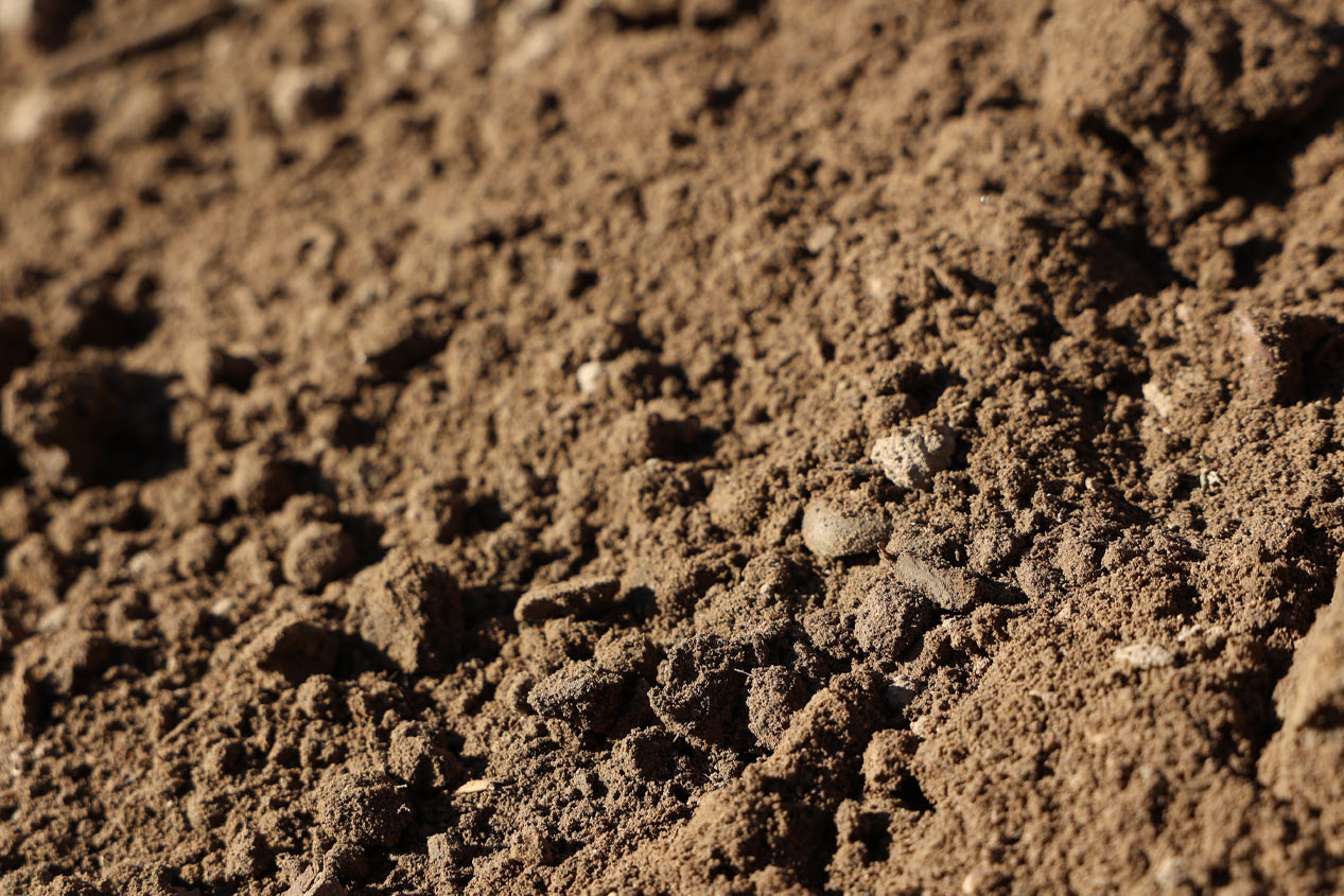 Screened Top Soil