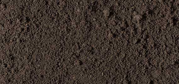 Soils